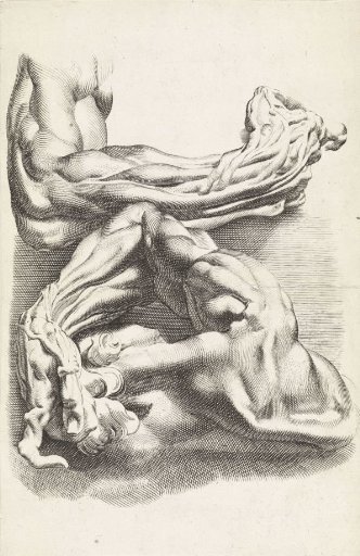 Two anatomical studies of arms