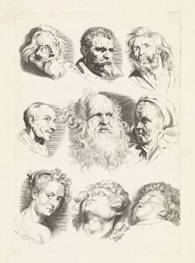 Studies of nine heads