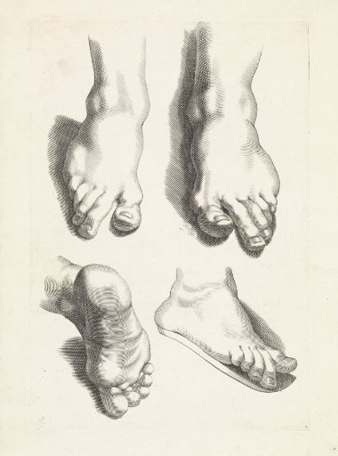 Studies of feet