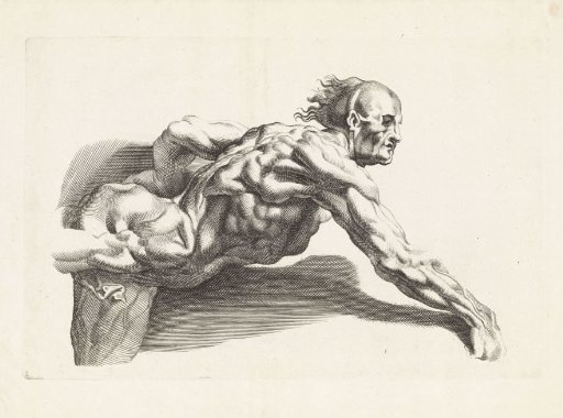 Anatomical study of a man leaning forward