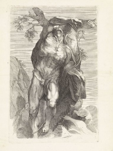 Anatomical study of a man bound to a tree