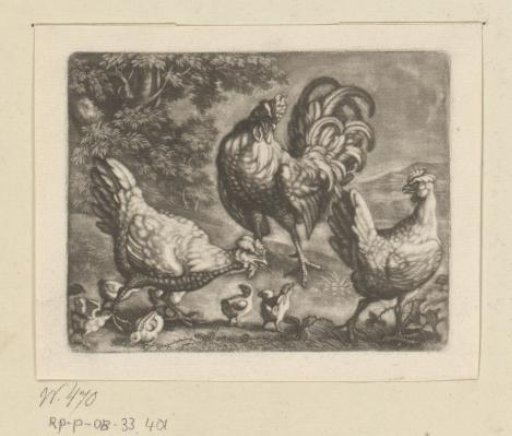 Hens with chicks