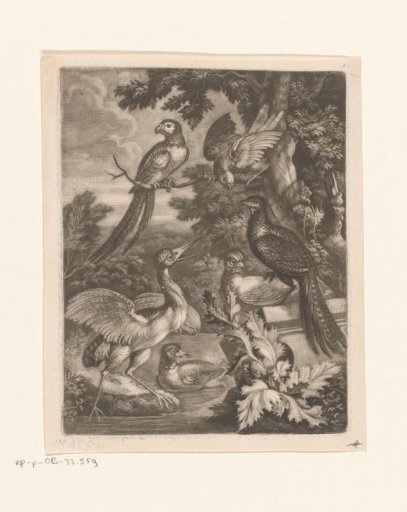Heron, duck, peacock, parrot, macaw and hen in a landscape