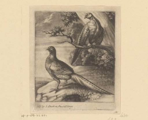 Two Pheasants