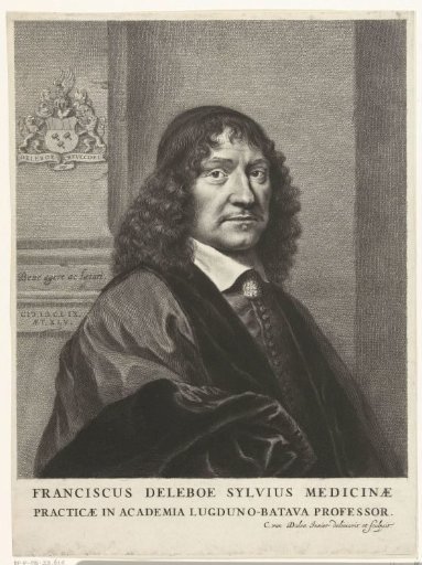 Portrait of Franciscus de le Boë Sylvius