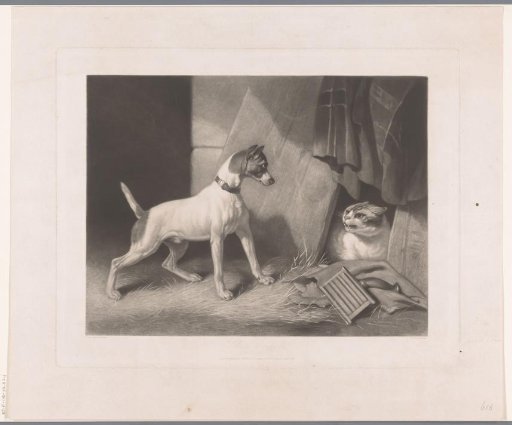 Dog startled by an angry cat