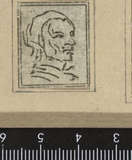 Woman's head