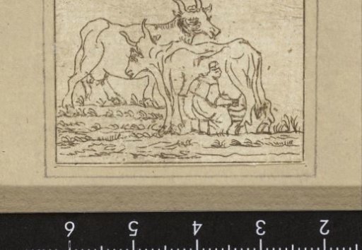 Milking peasant woman