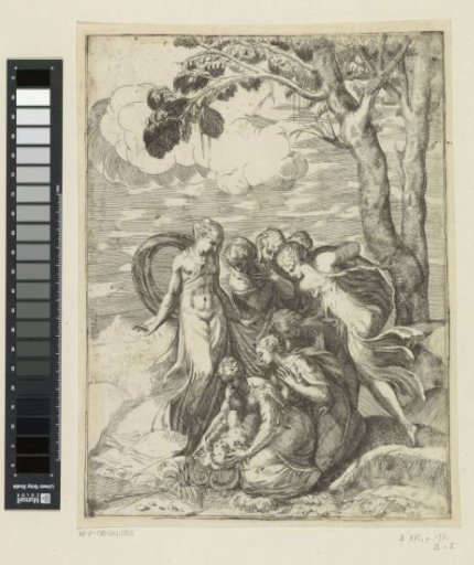 Moses Saved from the Nile