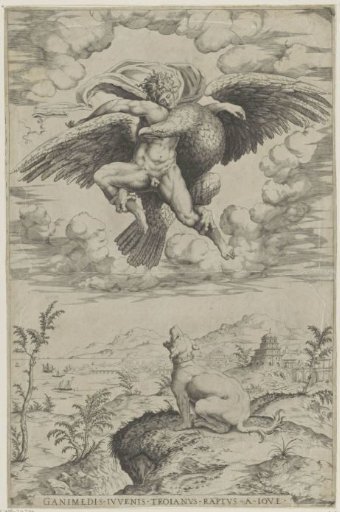 The Abduction of Ganymedes