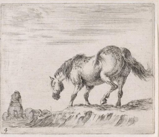 Horse on a hill