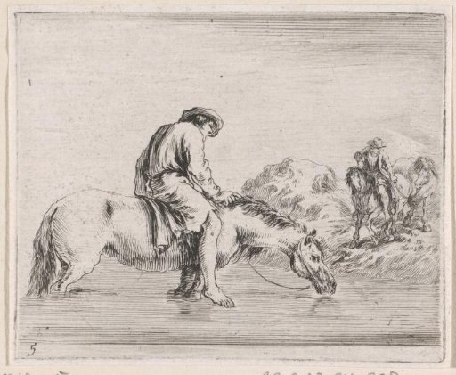 Horse with rider in water