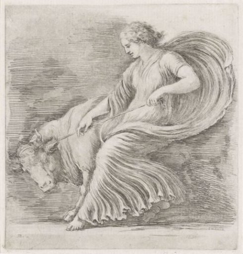 Woman attempting to subdue a bull