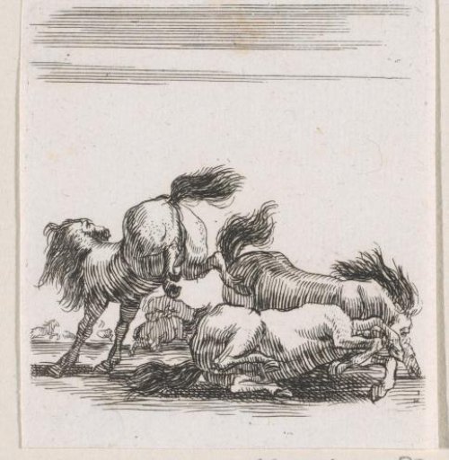 Fighting horses