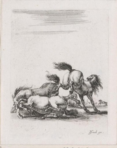 Fighting horses
