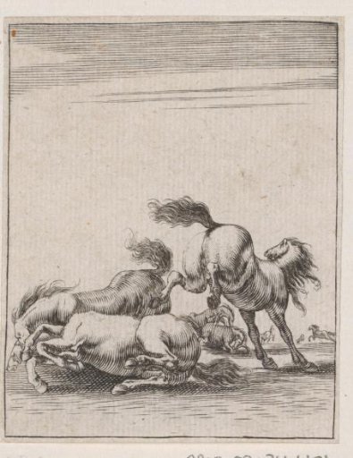 Fighting horses
