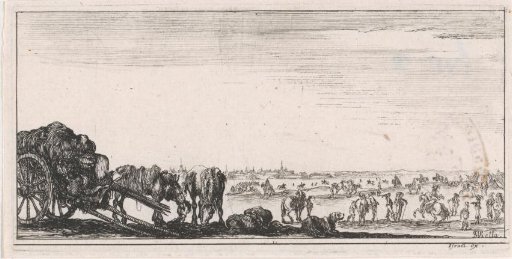 Unharnessed, grazing horses