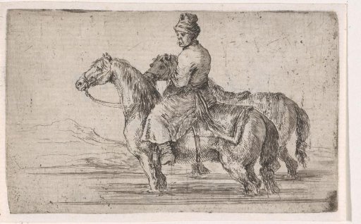 Polish groom washing two horses