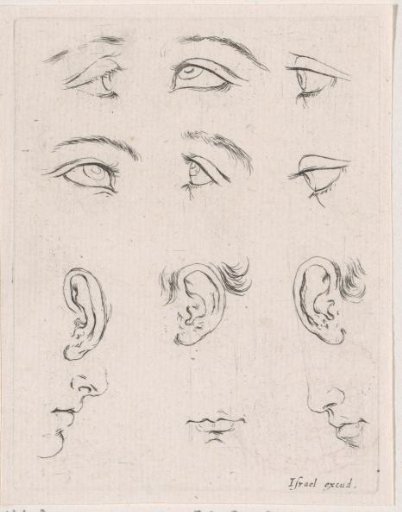 Six eyes, three ears, two noses and three mouths