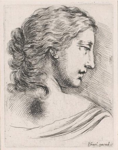 Head of a woman seen from the back, turned to the right