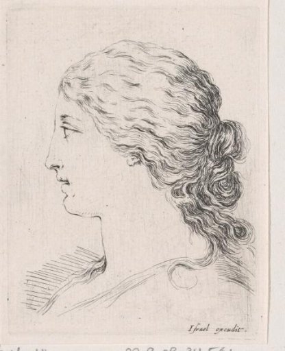 Head of a woman, in profile to the left