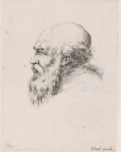 Head of an old bald man with a beard, in profile to the left