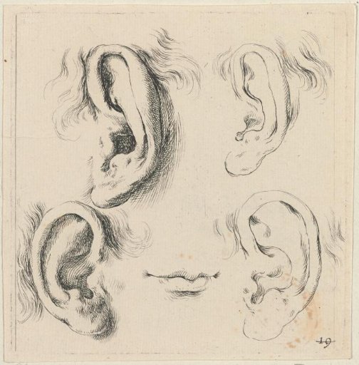 Four ears and a mouth
