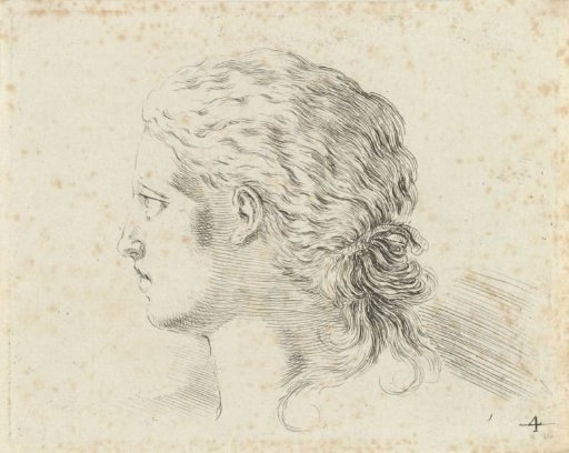 Head of a woman, in profile to the left