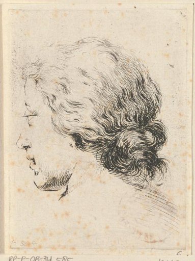 Head of a woman, seen from the back
