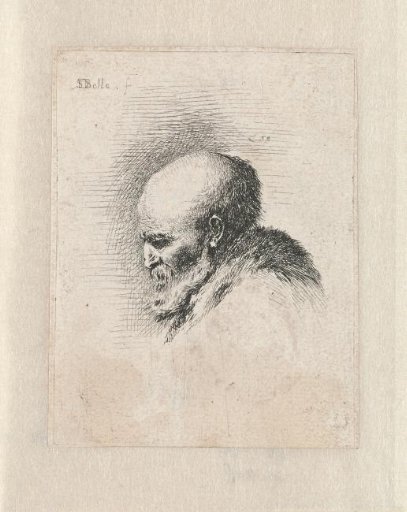Head of an old bald man with beard, in profile to the left
