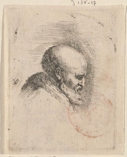 Head of an old bald man with beard, in profile to the right