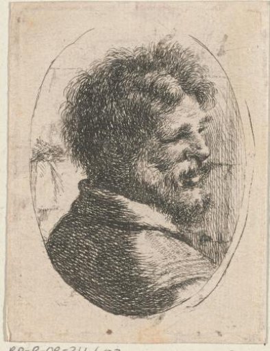 Head of a young man, turned to the left