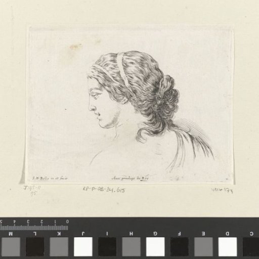 Head of a young man, in profile to the right