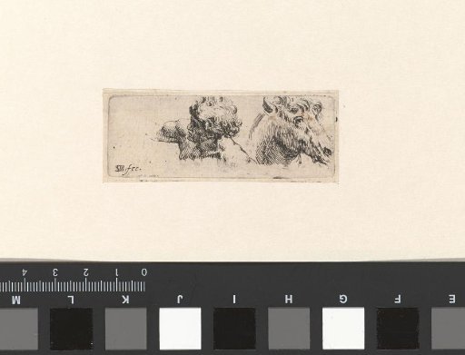 *Hoofd van een paard en buste van een man* -> Head of a horse and bust of a man