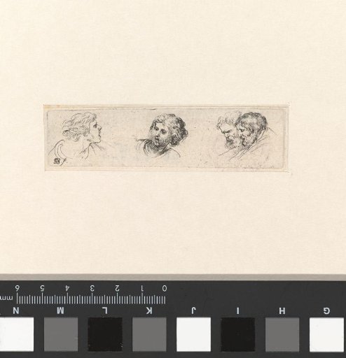 *Twee hoofden van oude mannen naast elkaar, twee hoofden van jongemannen* -> Two heads of old men side by side, two heads of young men