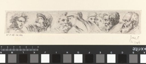 Eight heads of men
