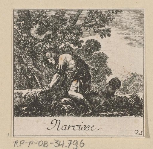 Narcissus