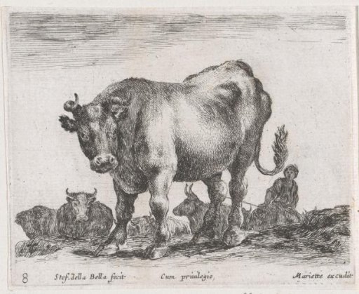 Ox