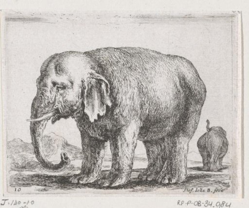 Two Elephants