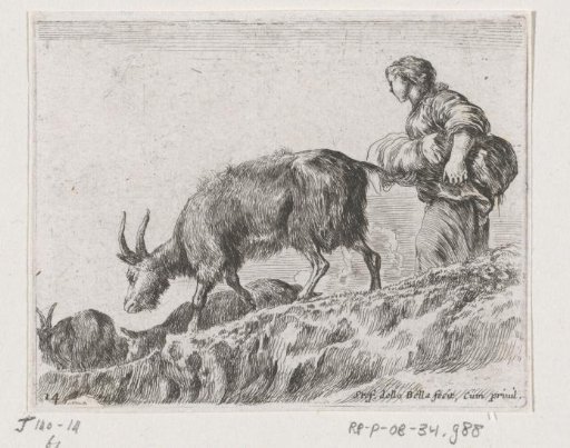 Goats with a shepherdess