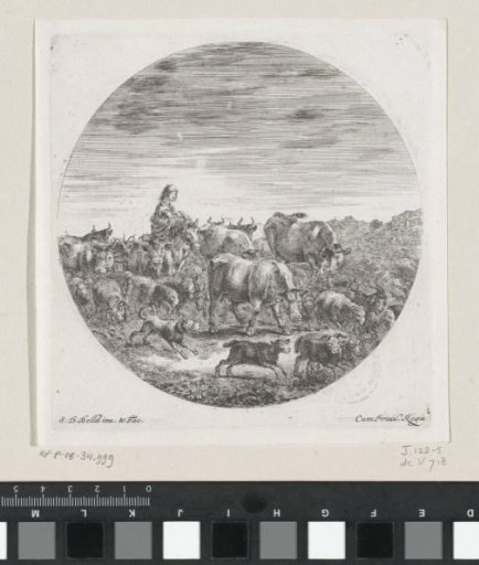 Woman with child on horseback in the midst of a herd
