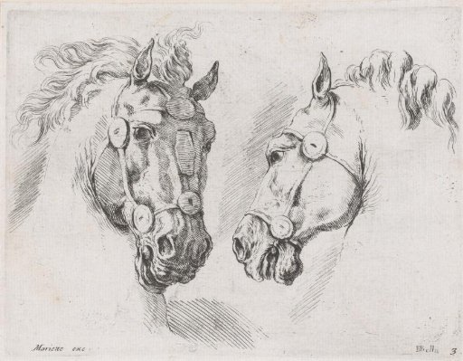 Two horse heads
