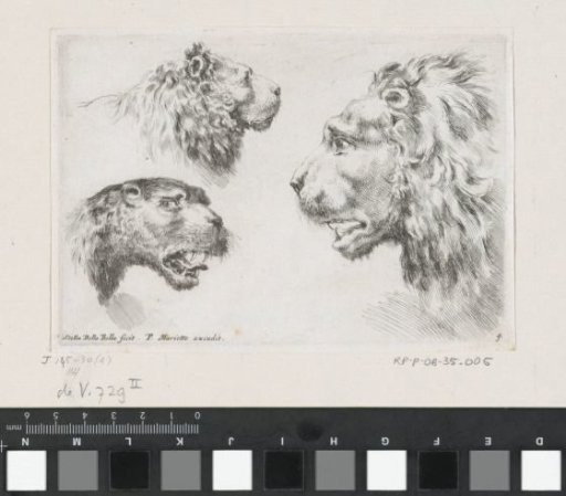Two lion heads and a tiger head