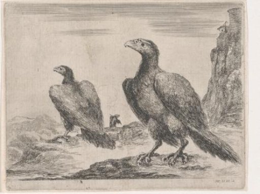 Two eagles with heads to the left