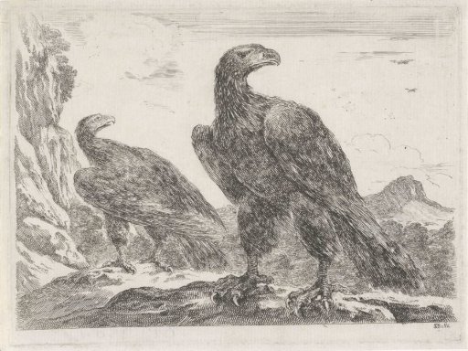 Two eagles with heads to the right