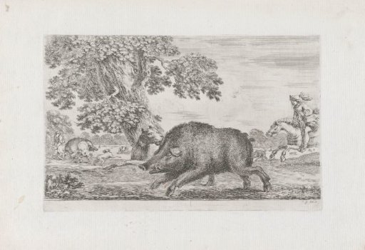 Hunting wild boars
