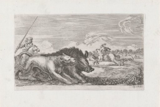 Wild boar hunted by dog and hunter