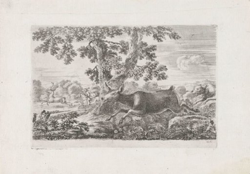 Roe deer hunted by a hunting dog