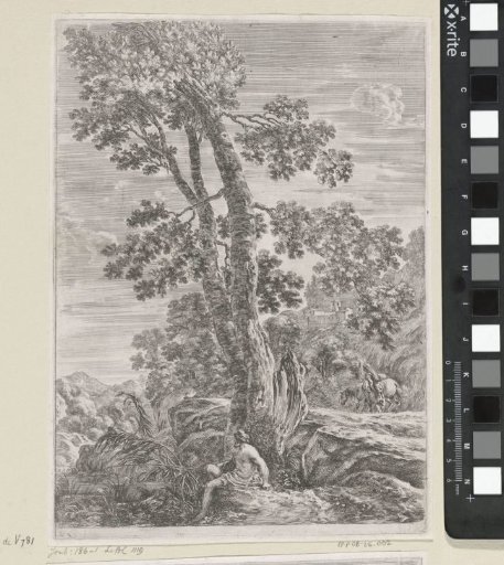 Fisherman under a tree