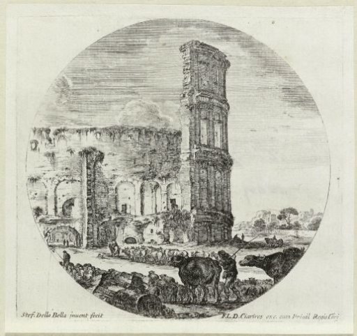 Herds of cows and sheep in front of the Colosseum